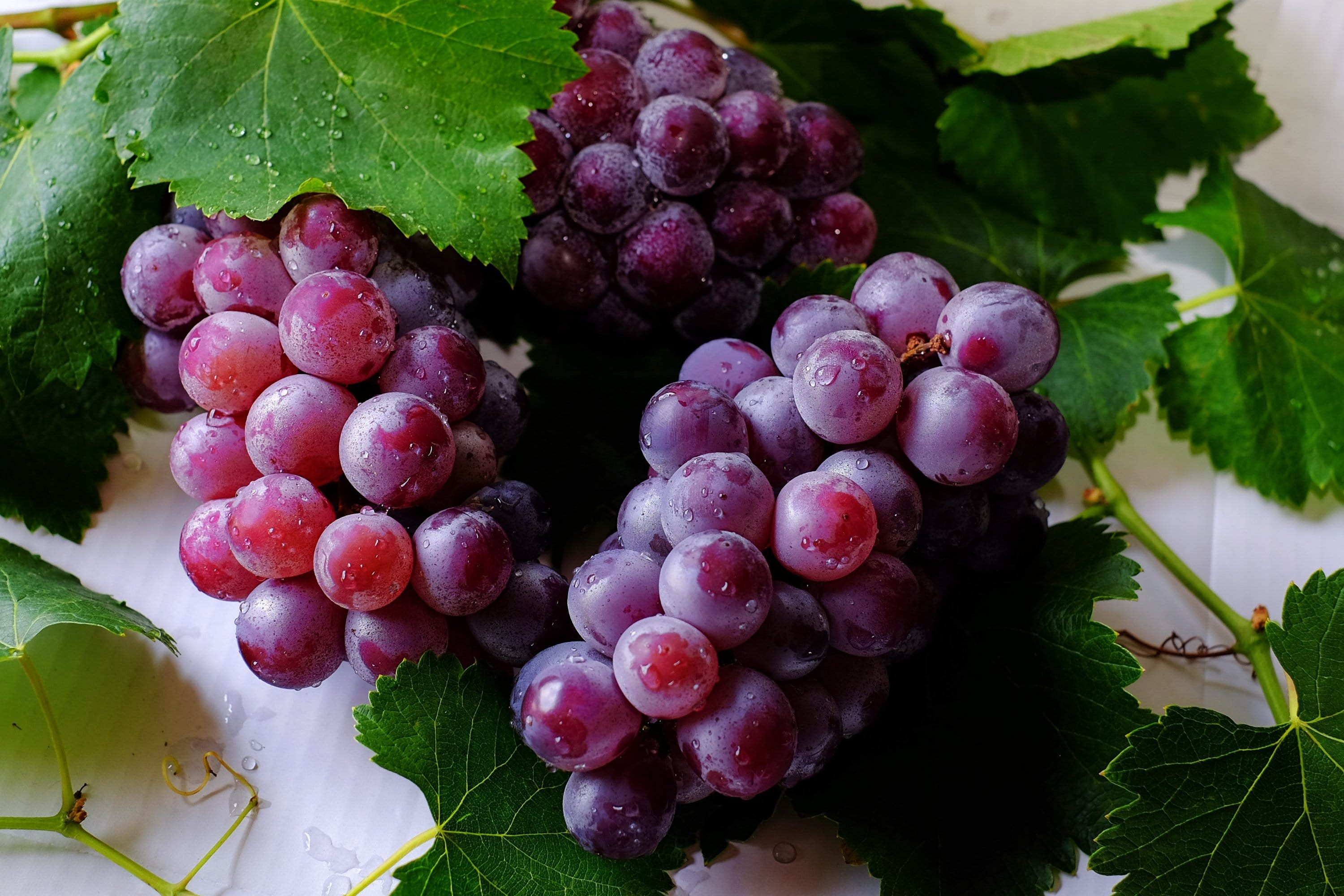 Grape Fiber Biovital